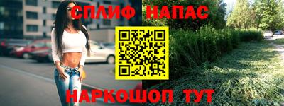 альфа пвп Новодвинск
