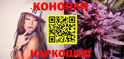 альфа пвп Новодвинск