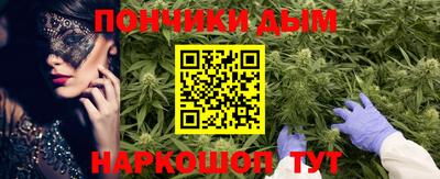 альфа пвп Новодвинск