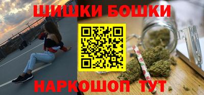 гидра Новозыбков