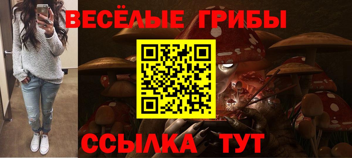 Галлюциногенные грибы Cubensis  Вход с VPN  Тимашёвск 